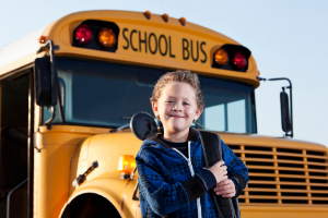 BUS IMAGE 2 